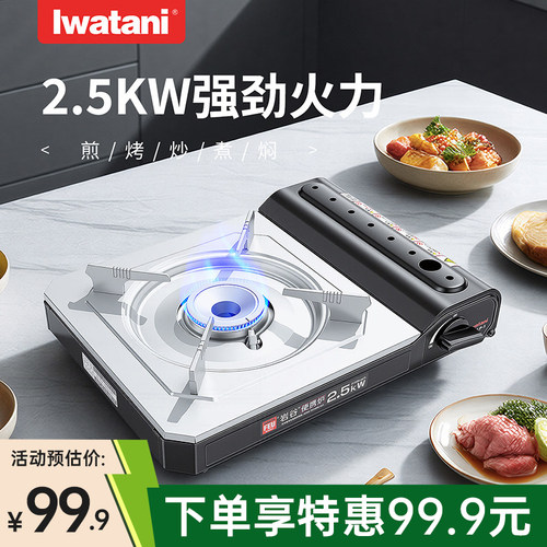 岩谷新款便携式卡式炉家用野营烤肉烧烤火锅野炊炉具丁烷燃气炉