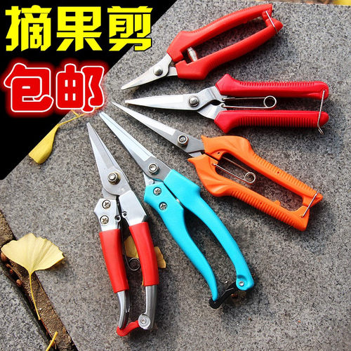 园艺剪刀树枝修枝果树葡萄剪子园林摘果剪花艺工具家用摘水果神器