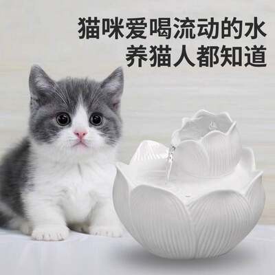 新款猫咪智能饮水机流动活水循环过滤陶瓷喝水器宠物狗自动喂水器