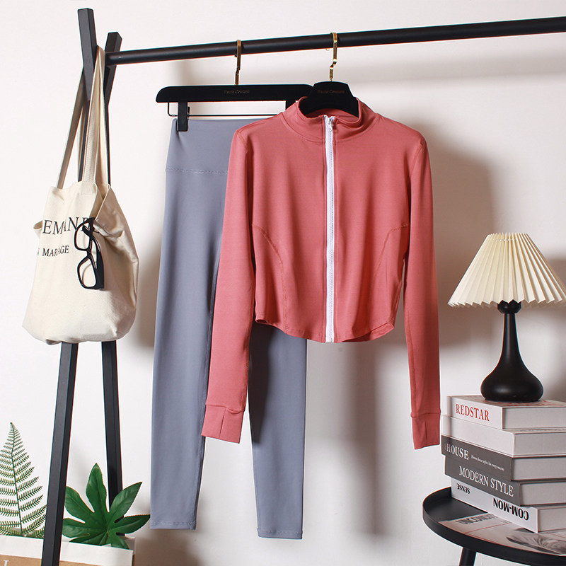 高级感瑜伽服女秋冬款立领跑步服拉链速干长袖小众健身房运动套装