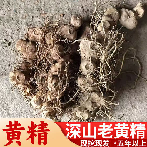 湖南雪峰深山新鲜黄精老虎姜非九晒九蒸可食用煲汤滋补泡酒中药材