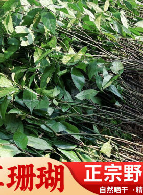 肿节风 草珊瑚 九节风 接骨莲 九节茶 干货 中药材500g包邮