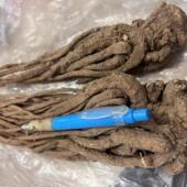 当归干货无硫磺原色原味优质精选250g