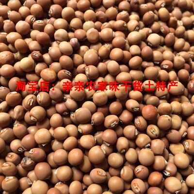 赤小豆树豆木豆药豆正宗老品种