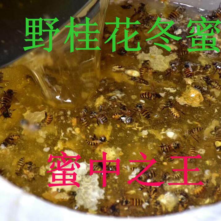 冬蜜野桂花柃木蜜无污染不喂糖优质农家土蜜蜂中华蜂原蜜结晶蜜