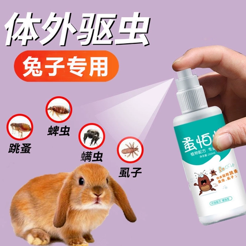 Детьмингом кролика in vitro Удаление вшей и блохлово -жуков