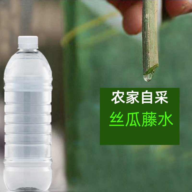 农家自采天然丝瓜水原液500ml无添加纯丝瓜茎藤汁水爽肤不含防腐