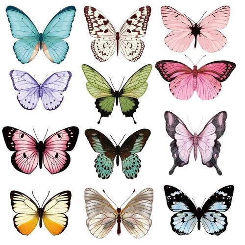 Pvc Butterfly Decorative Packaging Background Wall Diy Photo
