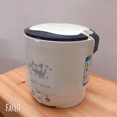 1L 110V Rice Cooker Used in House Enough for Two Persons wit