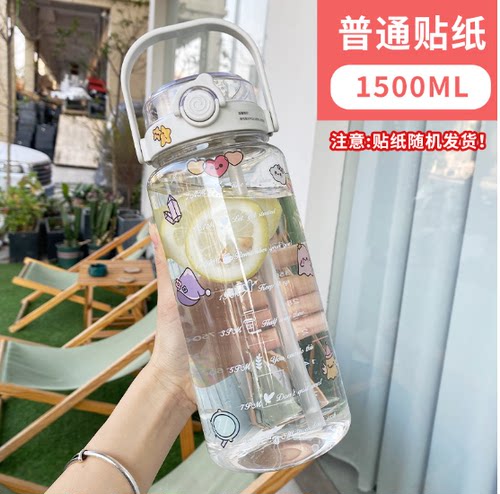 1500ML kettle with straw gradient frosted outdoor plastic