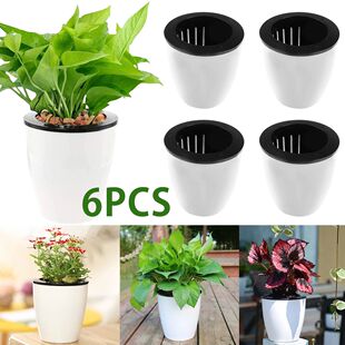 6Pcs Self Watering Pots With Cotton Rope for Indoor Plants 4