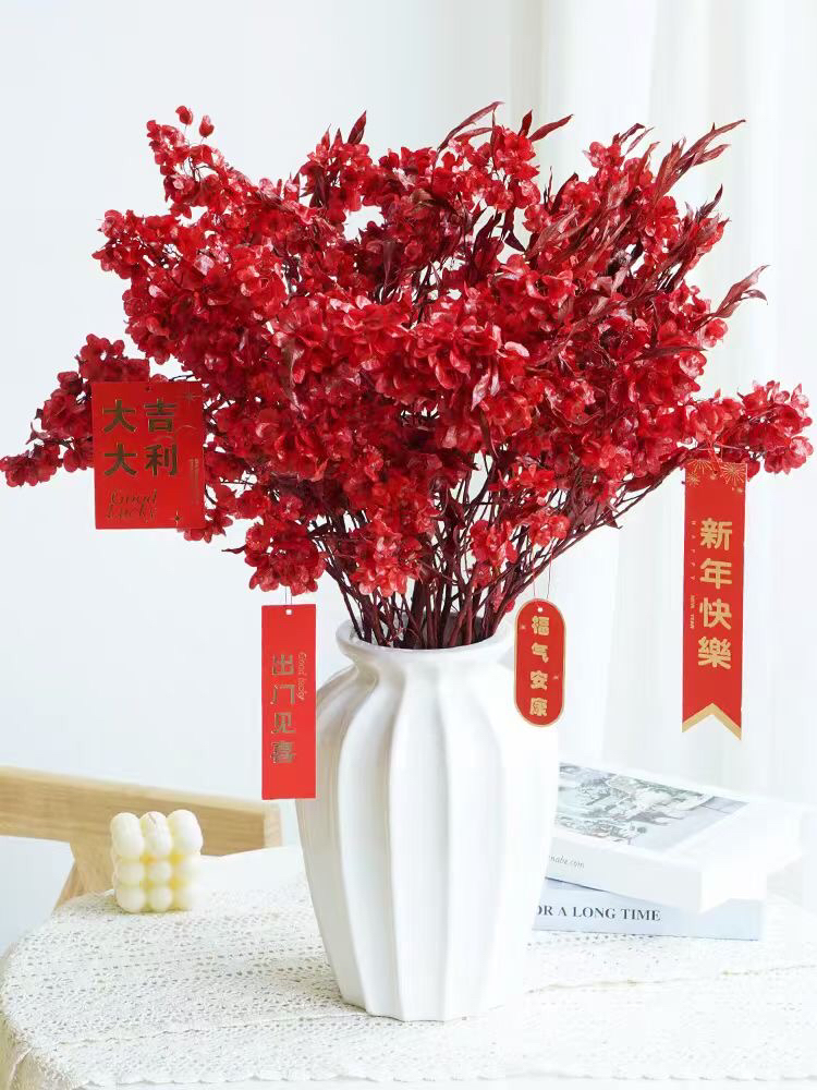 迎客豆永生花迎宵花蝴蝶花干花花束新年婚庆客厅装饰永生花批发