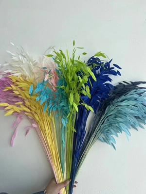 云南工厂干花永生花小盼草插花材料包花材手工花束婚庆装饰风铃草