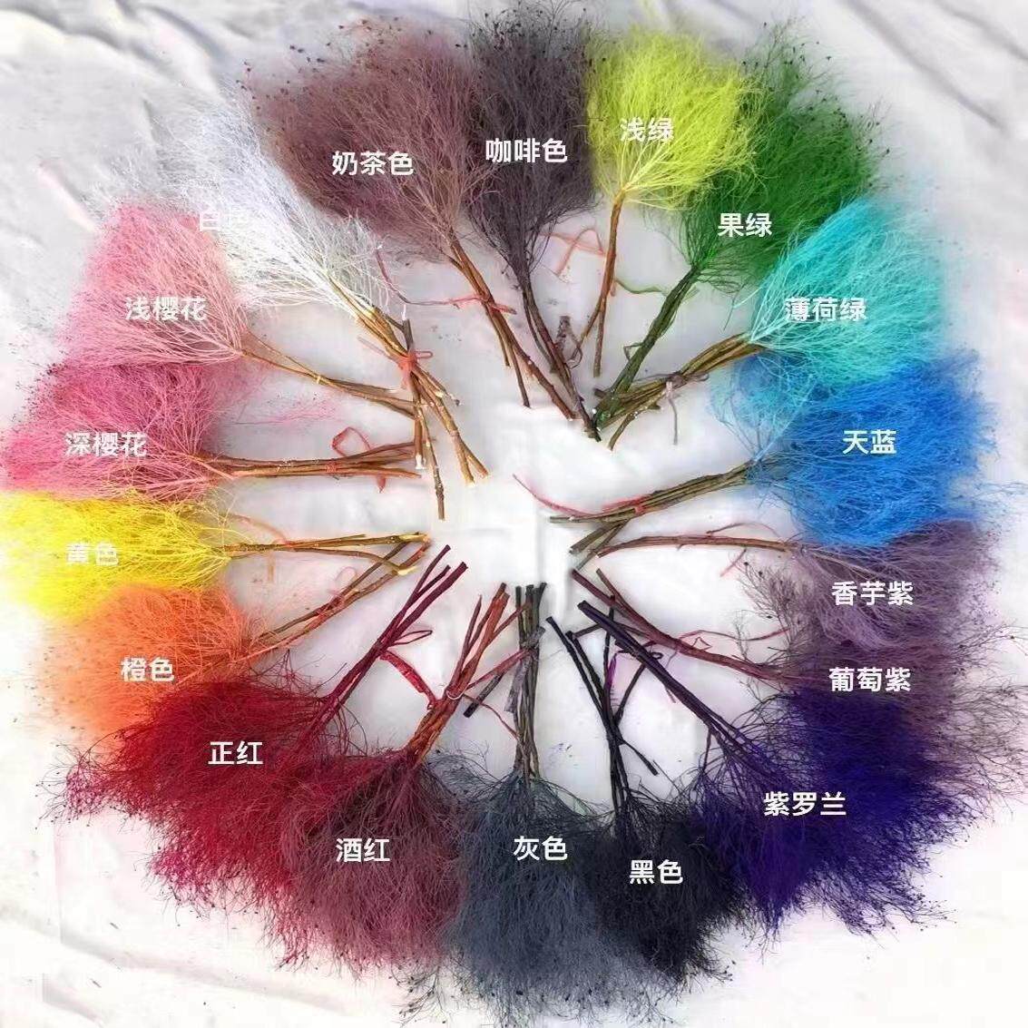 梦幻草永生花干花石草