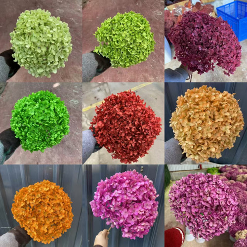 糖果色系永生绣球婚礼舞台布置橱窗造景摄影道具现货婚庆花束装饰