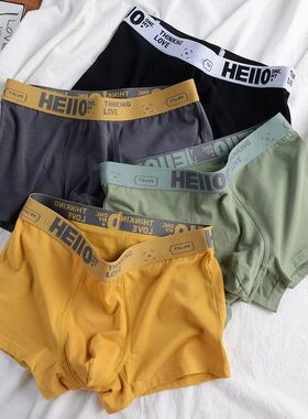 Men Panties Cotton BoxerShorts Man Underwear For Men Boxers