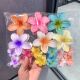 Sui Hair Egg 18Pcs Candy Flower Gradient Flowers Clips Color