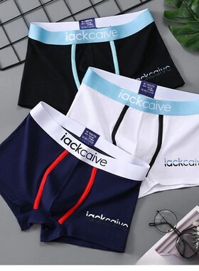3Pcs Lot Men Panties Boxer Shorts Cotton Men's Underwear Bre