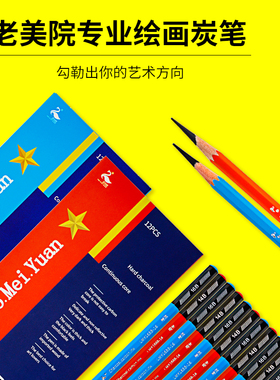 新款速写哑光14B特浓16B老美院绘画炭笔美术生用l软中硬炭笔