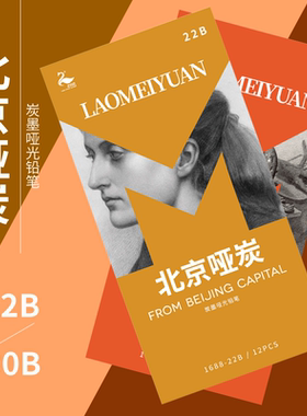 老美院北京哑炭22B30B哑光超黑素描铅笔炭笔不断芯不反光美术用