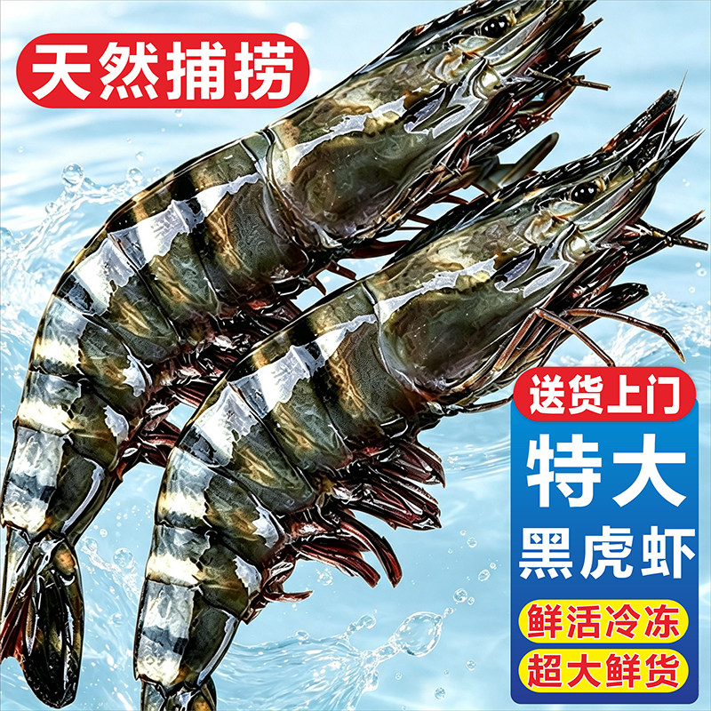 正宗新鲜黑虎虾鲜活速冻海虾特大号基围虾竹斑九节虾海鲜水产批发