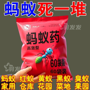 蚂蚁药强效出租屋家用无毒一窝端卧室厨房蚂蚁克星灭虫全窝端药粉