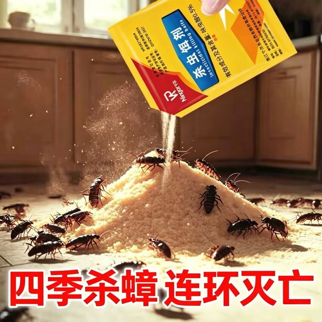 蟑螂药粉强力绝杀灭偷油婆除小强杀虫剂（卫生农药）