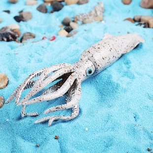 儿童科教启蒙实心仿真动物玩具远古海生动物模型泥盆纪白垩纪箭石