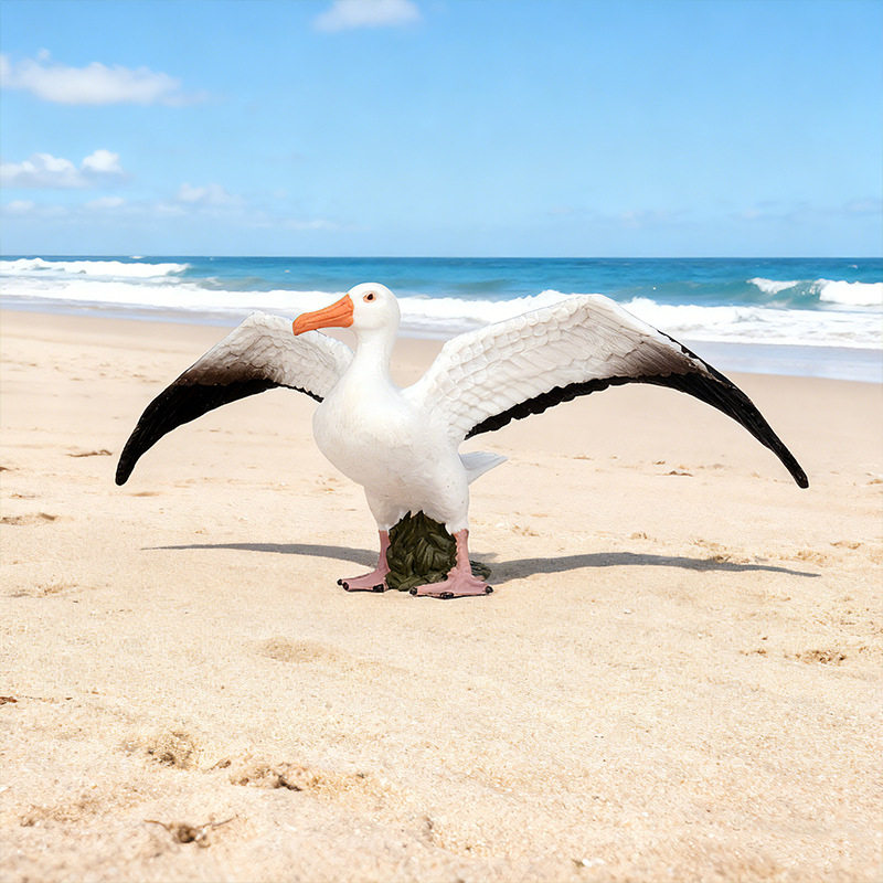 仿真静态野生动物世界模型 实心鸟类模型 信天翁儿童塑胶玩具摆件