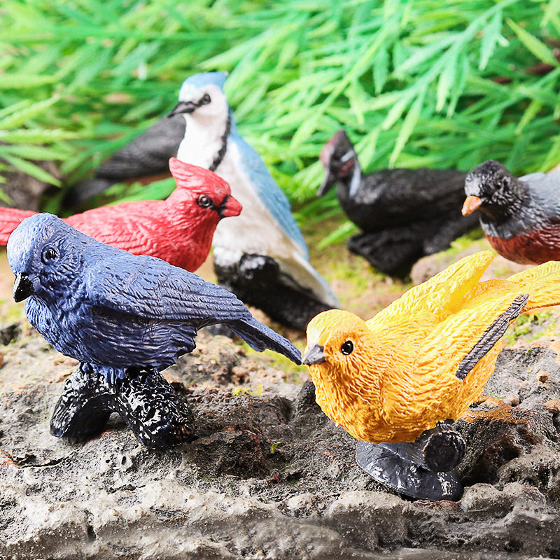 儿童认知玩具仿真鸟类动物模型飞禽知更鸟静啄木鸟黄鹂摆件套装