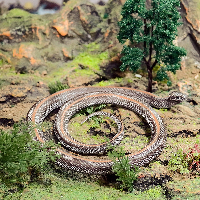 野生动物仿真假蛇玩具台湾小头蛇模型眼镜蛇响尾蛇蟒蛇万圣节礼物