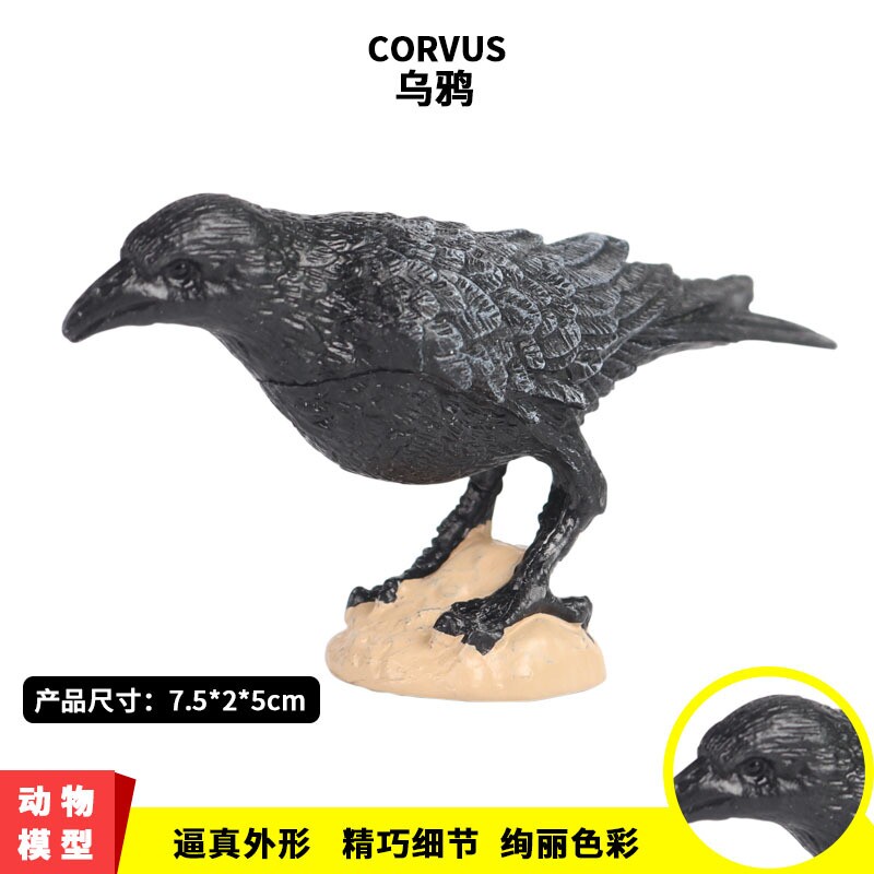 儿童启蒙认知仿真实心森林草原鸟类动物模型乌鸦老鸹塑胶造景摆件