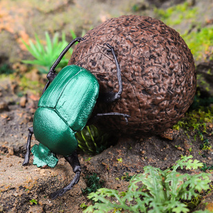 仿真实心昆虫野生动物模型蜣螂甲虫屎壳郎滚粪球儿童认知玩具摆件