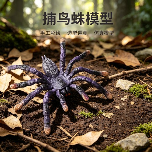 哥伦比亚紫花卉捕鸟蛛仿真玩具