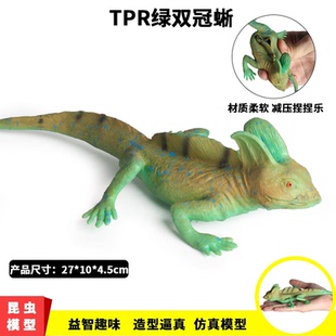绿双冠蜥整蛊昆虫捏捏乐儿童玩具TPR仿真动物模型减压发泄玩具男