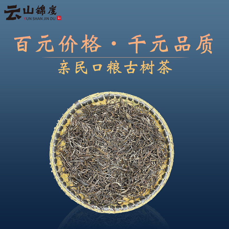 正宗昌宁黄家寨古树春茶散装功夫茶叶口粮茶醇香浓郁云南产地直发