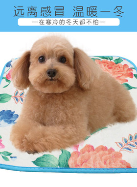 Warm Blanket Electric Heated Blanket 220VElectric Blanket Do