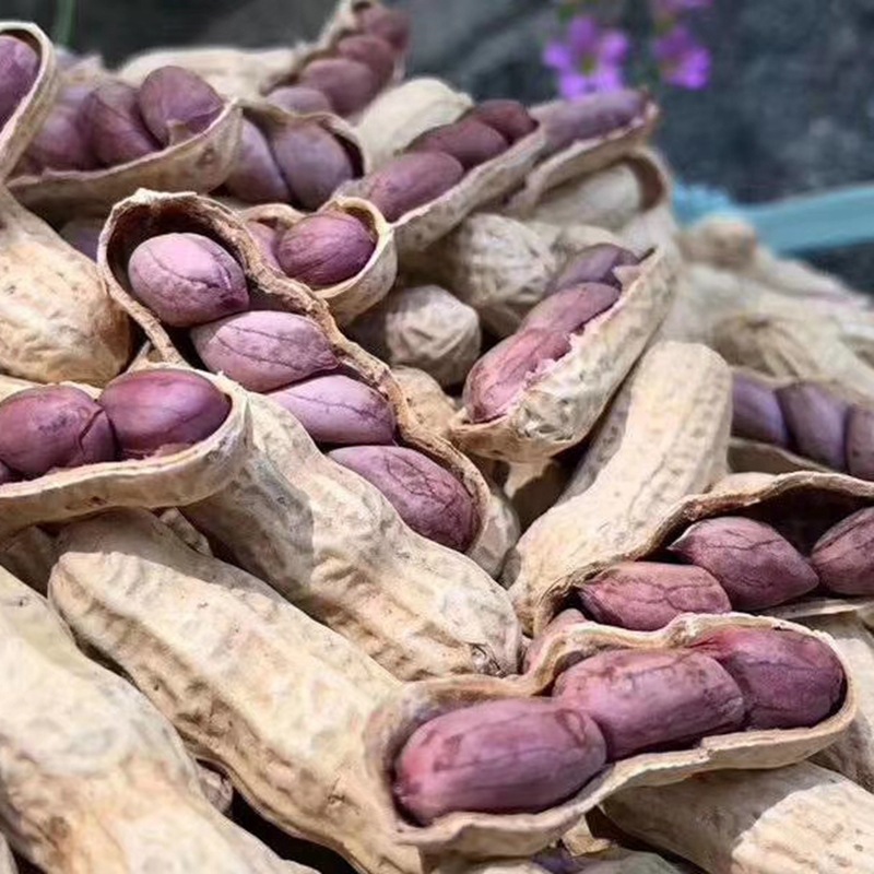 福建连城湿烤红衣花生五香