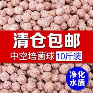 中空石英球纳米培菌球鱼缸滤材过滤材料硝化细菌屋陶瓷环远红外球