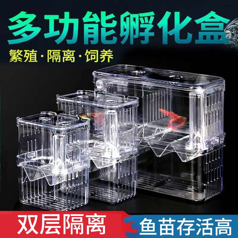 鱼缸隔离盒孵化盒鱼苗产房