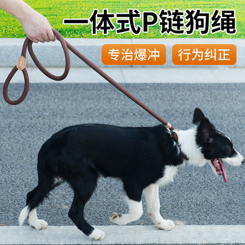 狗狗牵引绳p绳中型犬狗绳赛级训犬狗绳子训狗防爆冲项圈脖圈狗链