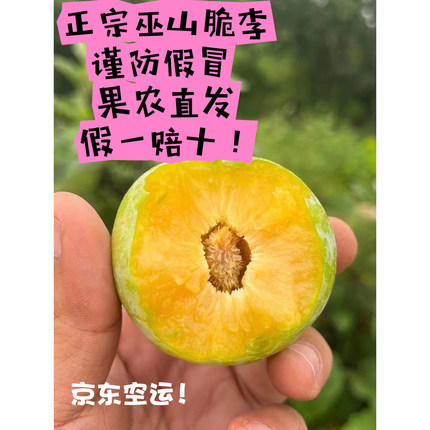 正宗重庆巫山曲尺柑园村产地脆李子新鲜水果当季现摘现发孕妇空运