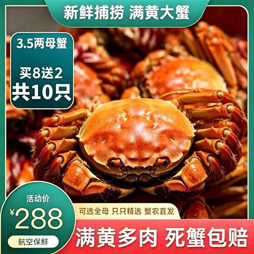 现货红膏大闸蟹礼盒顺丰包邮