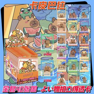 卡皮巴拉透卡拍立得PVC盲袋卡通动漫周边收藏透卡每盒必出大隐藏