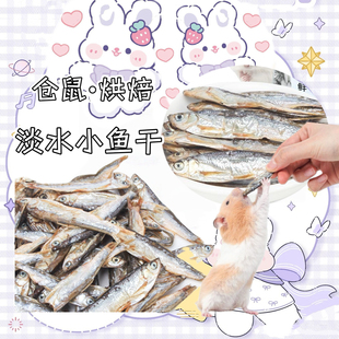 仓鼠零食淡水鱼干无盐仓鼠高蛋白幼鼠粮食饲料小宠物用品粮食物