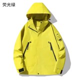 荧光绿