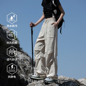 1404-2-23733-p39--2025 休闲 宽松 立体 青少年 百搭 冲锋裤图片