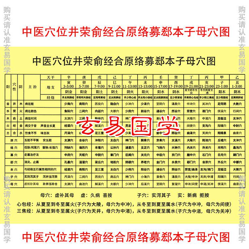 中医穴位井荣俞经合原络募郄本子母穴位图塑封