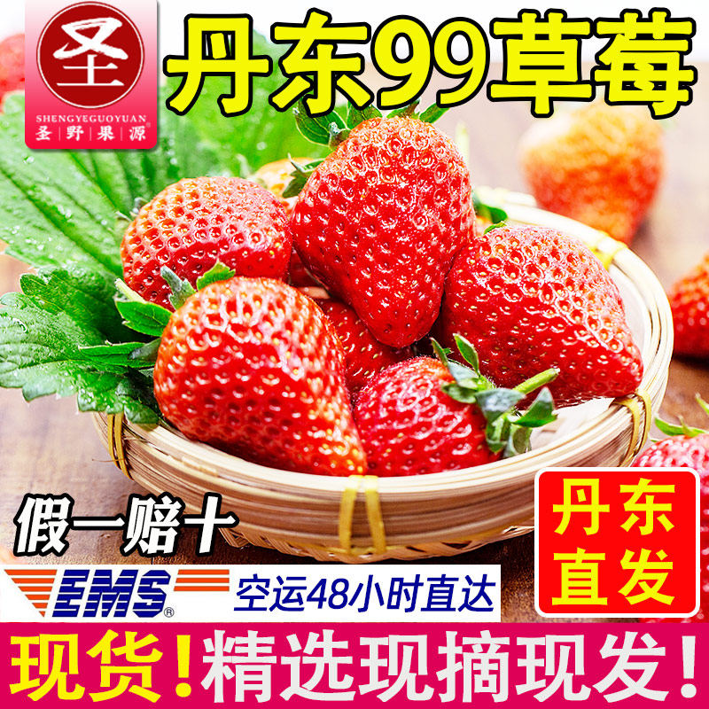圣野果源 丹东99红颜草莓3斤现摘新鲜奶油牛奶东港九九大草莓包邮在类目 水产肉类/新鲜蔬果/熟食, 新鲜水果, 草莓中 - 来自Buy2taobao.com提供专业的淘宝代购服务