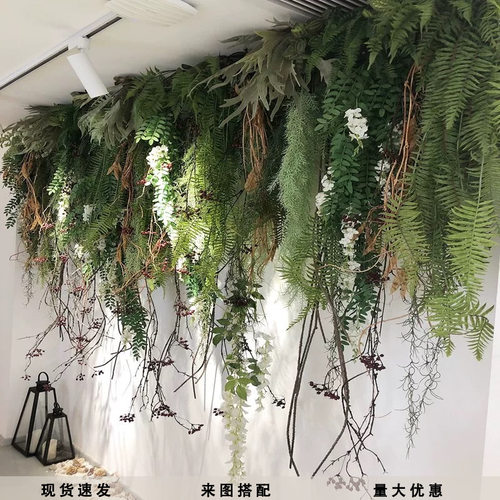 吊顶墙面装饰仿真绿植假植物蕨类